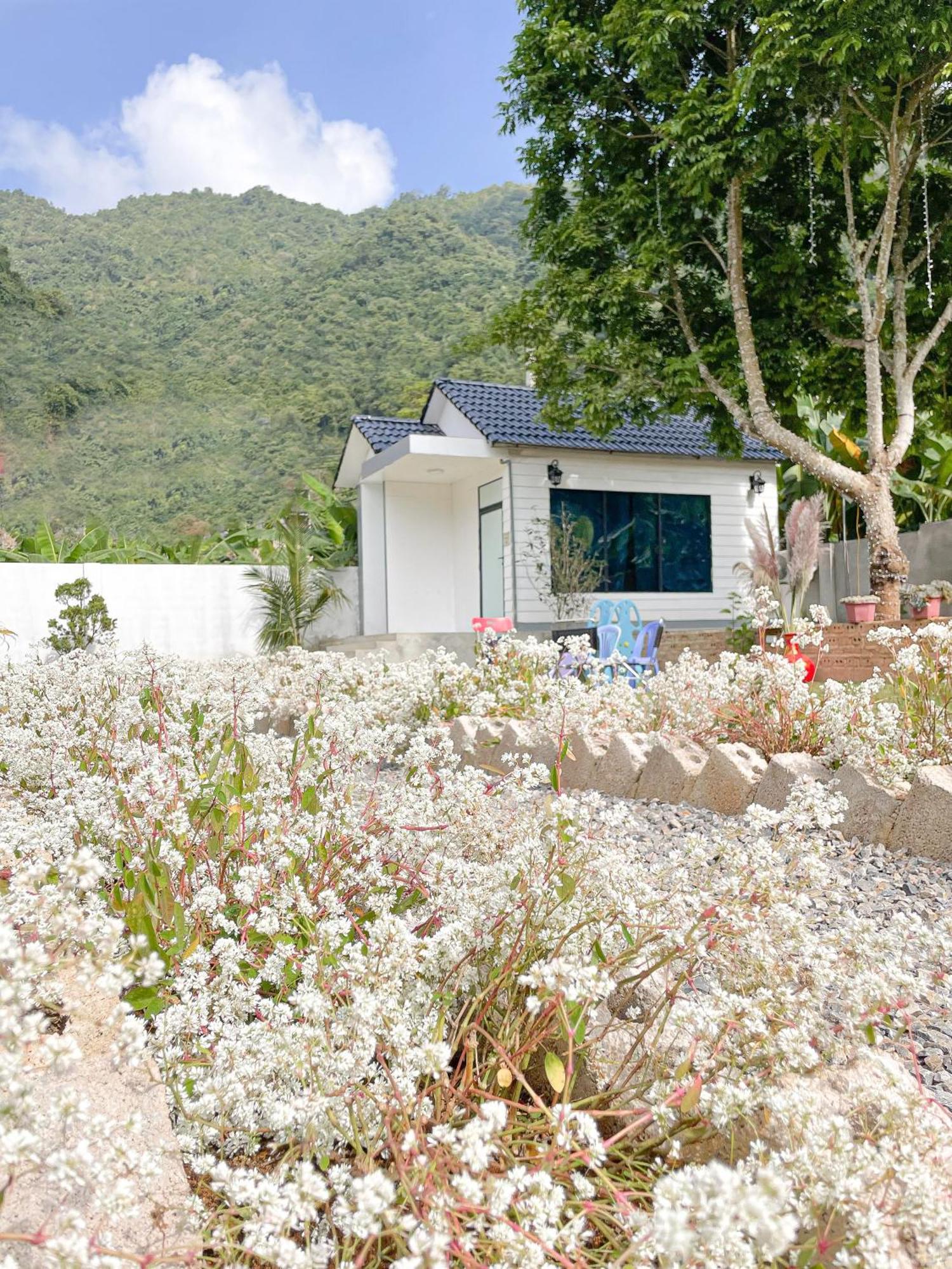 Moc Chau House Hotel Exterior photo